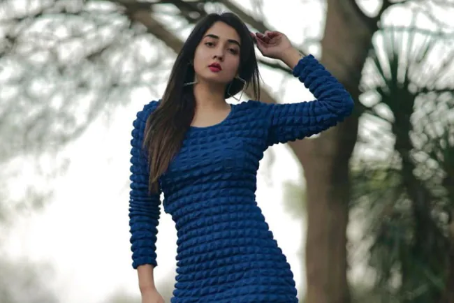 Nisha Bhatt Biography: Wiki, Age, Height, Boyfriend, Family, Songs and Movies