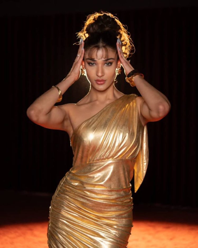 Nehal Chudasama Biography