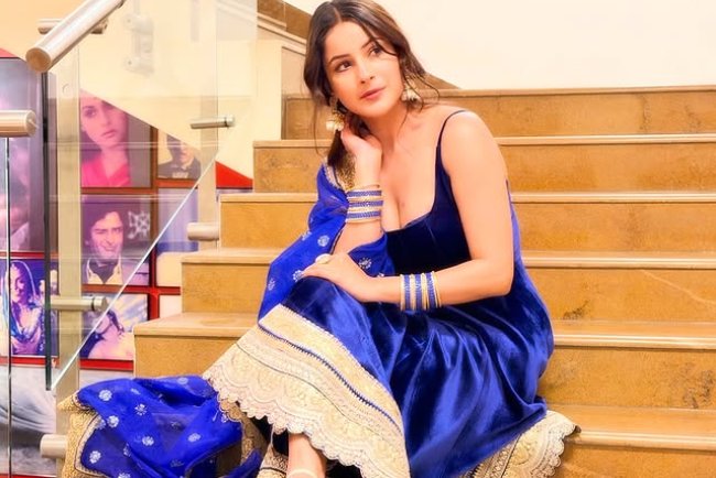 Shehnaaz Kaur Gill Biography: Wiki, Age, Height, Family, Boyfriend, Movies, Songs & More