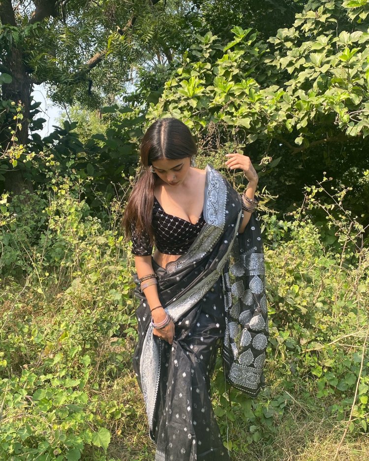 Afreen Khan Saree