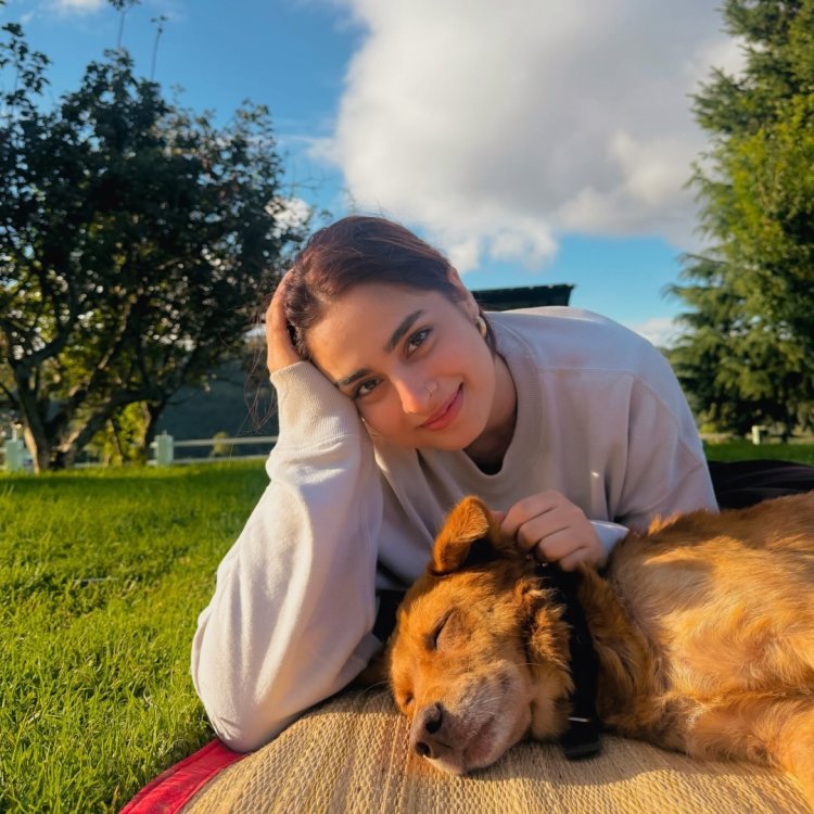 Ayesha Khan Biography